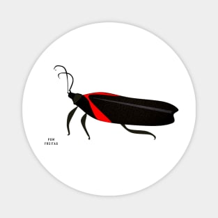 Boxelder bug : Magnet